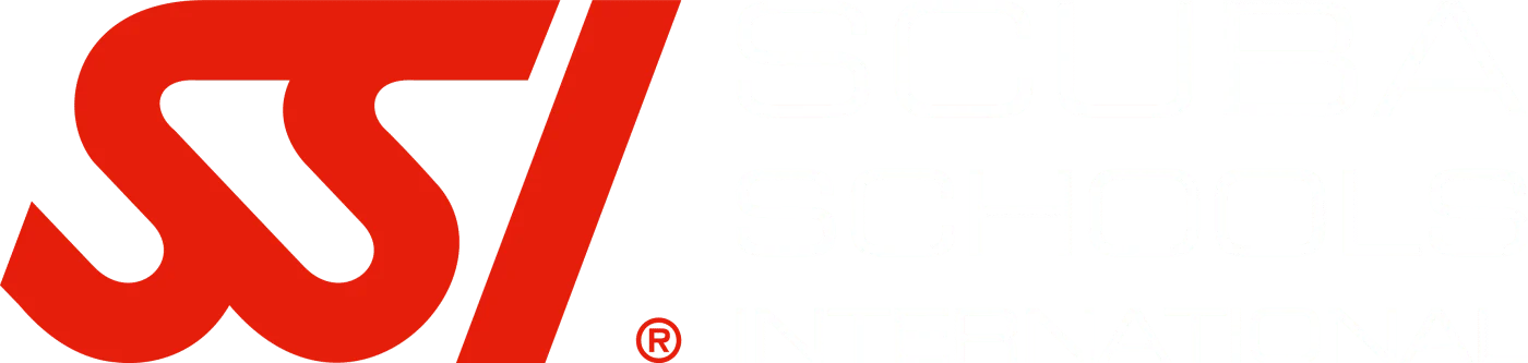 SSI
